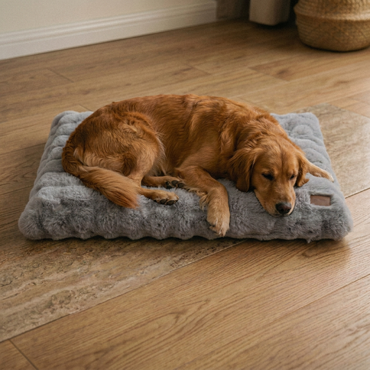 Plush Pet Bed with Non Slip Base and Removable Cover