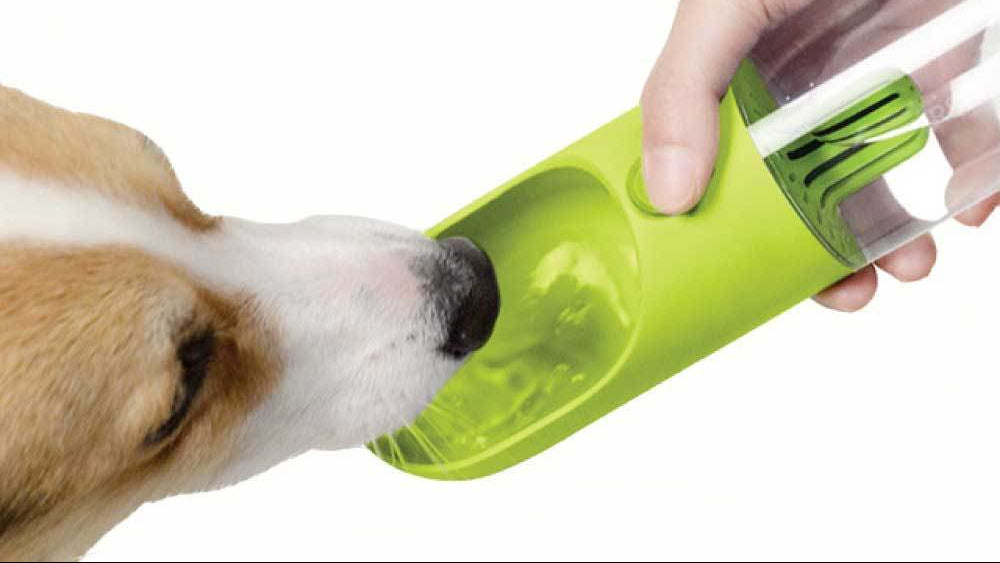 380ml Portable Pet Water Bottle with Filter - Travel Drinking Cup For Dogs Cats