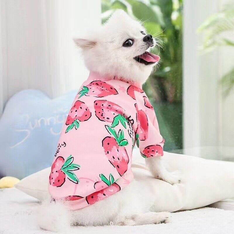 M Size Cute Pet Dog Warm Jumper Sweater Clothes Cat Knitwear Knitted Coats Winter - Pink Strawberry