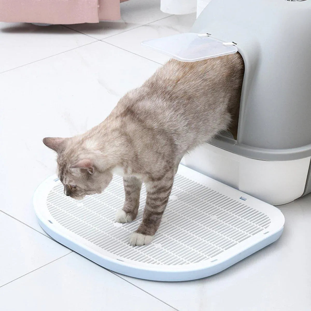 Anti Spill Cat Litter Mat Double Layer Pet Toilet Mat for Litter Box - Blue