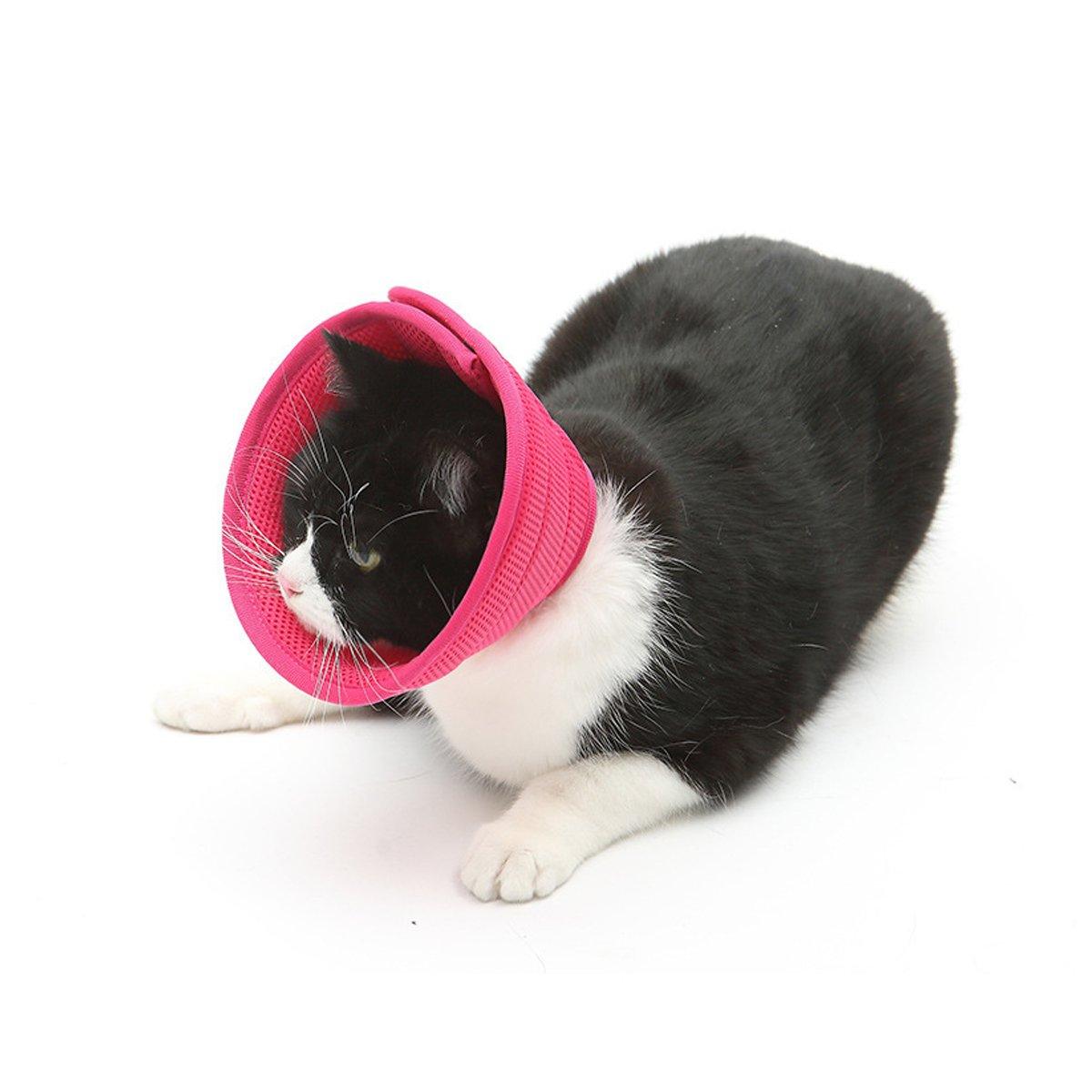 Elizabethan Collar Anti Licking Biting Pet Collar for Cats and Dogs Recovery Use - Rose Red-Size2